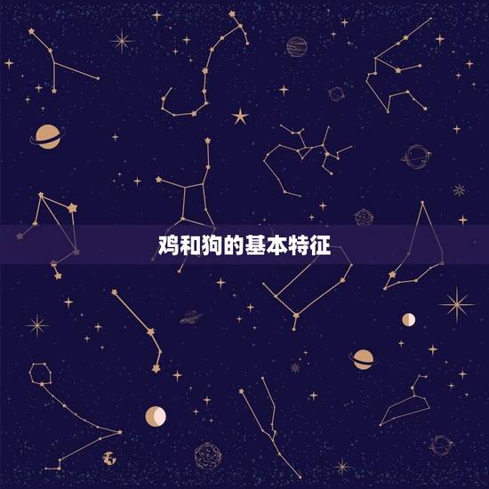 鸡和狗的基本特征