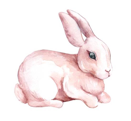 兔女和蛇男婚配怎么样呢(异类组合的爱情真的能长久吗)