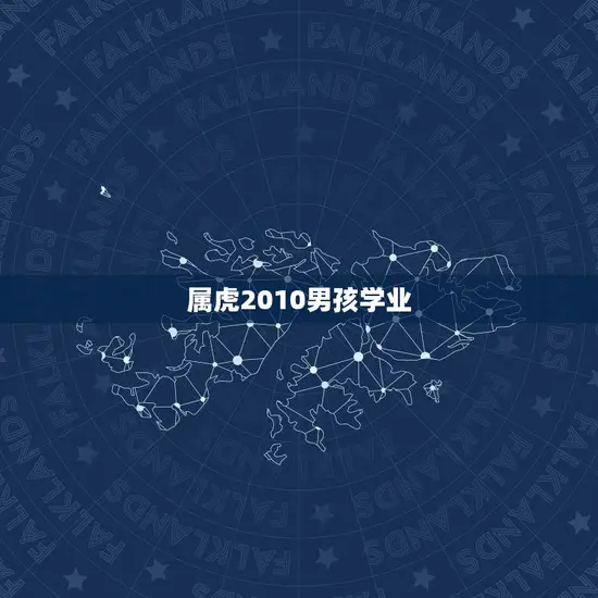 属虎2010男孩学业