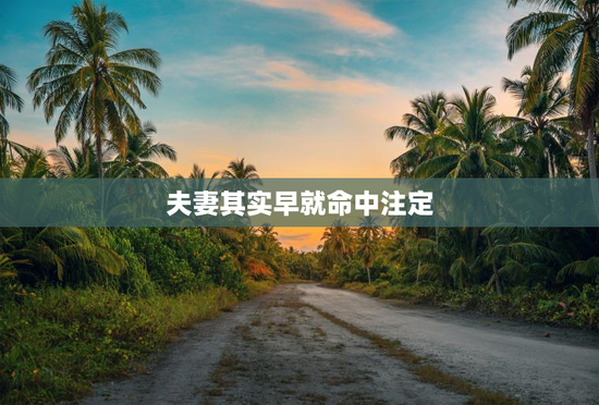 夫妻其实早就命中注定