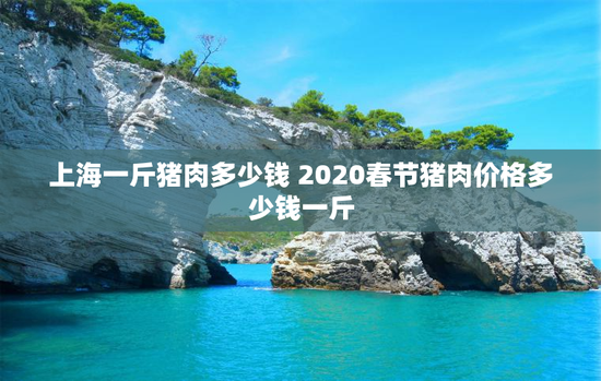 上海一斤猪肉多少钱 2020春节猪肉价格多少钱一斤
