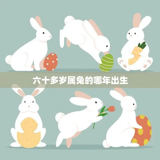 六十多岁属兔的哪年出生(如何计算)