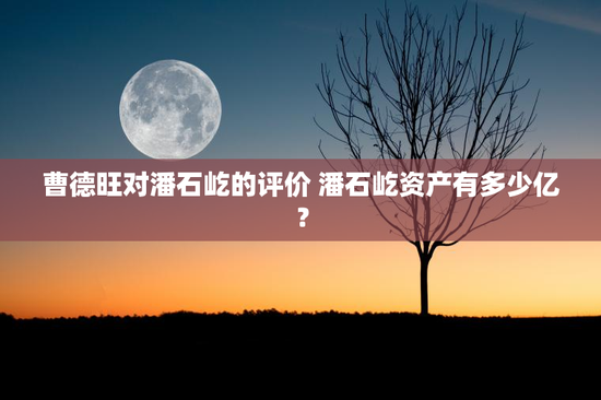 曹德旺对潘石屹的评价 潘石屹资产有多少亿？