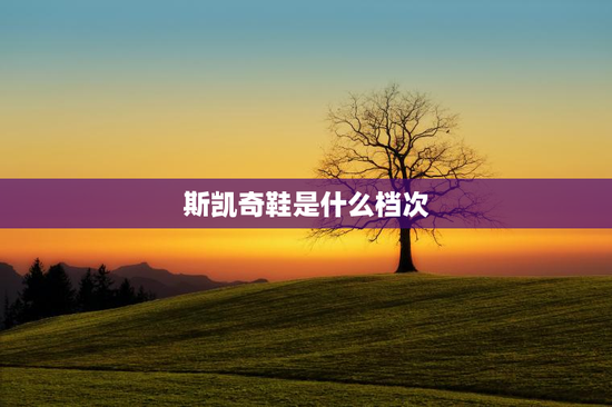 斯凯奇鞋是什么档次