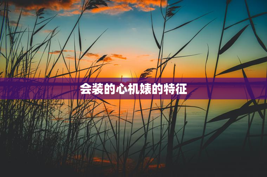 会装的心机婊的特征