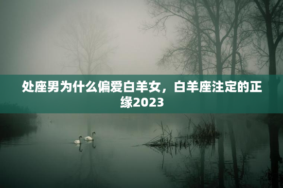 处座男为什么偏爱白羊女，白羊座注定的正缘2023