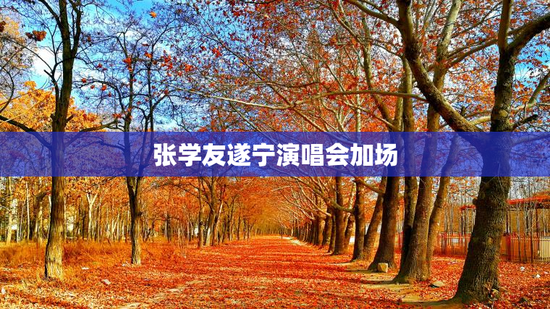 张学友遂宁演唱会加场