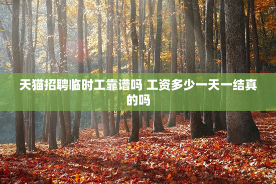 天猫招聘临时工靠谱吗 工资多少一天一结真的吗