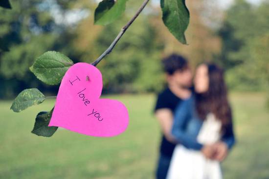 2023年放弃旧爱生肖(告别过去迎接新生活)