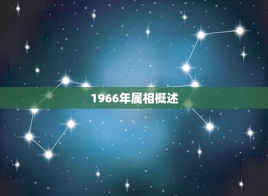 1966年属相概述