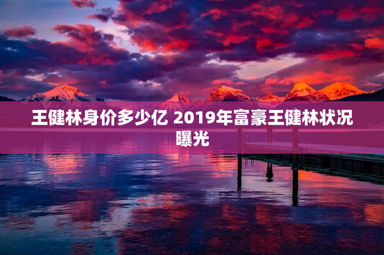 王健林身价多少亿 2019年富豪王健林状况曝光