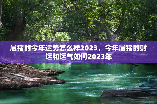 属猪的今年运势怎么样2023，今年属猪的财运和运气如何2023年