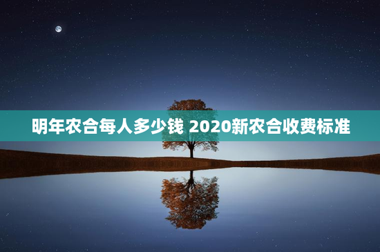 明年农合每人多少钱 2020新农合收费标准