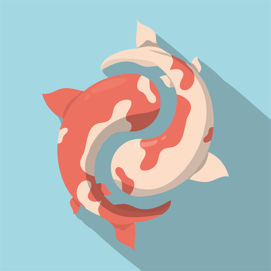 双鱼座的女孩子是怎样的(神秘而温柔的梦幻女孩)