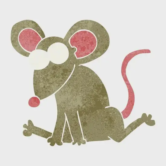 十二生肖时辰对照表解析：原理与应用指南