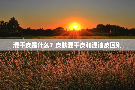 混干皮是什么？皮肤混干皮和混油皮区别