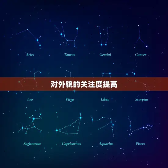 对外貌的关注度提高