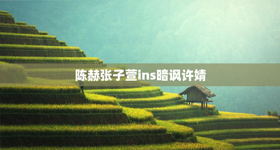 陈赫张子萱ins暗讽许婧