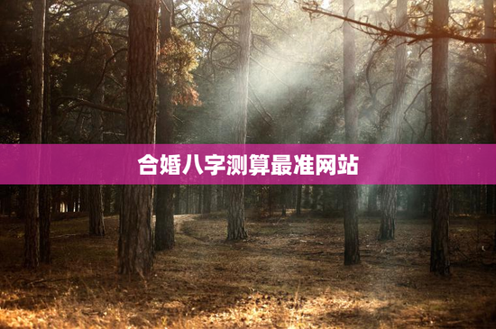 合婚八字测算最准网站，八字合婚免费测试