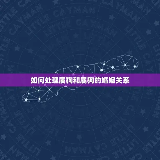 如何处理属狗和属狗的婚姻关系