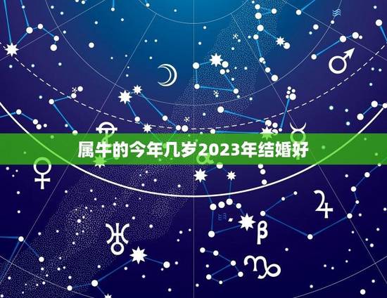 属牛的今年几岁2023年结婚好(顺应天时地利婚姻美满)