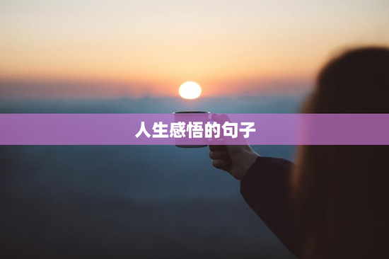 人生感悟的句子