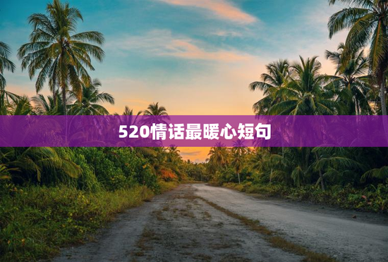 520情话最暖心短句