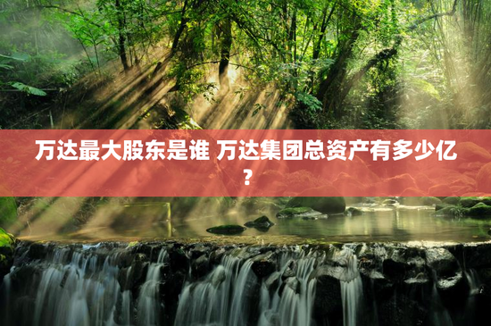万达最大股东是谁 万达集团总资产有多少亿？