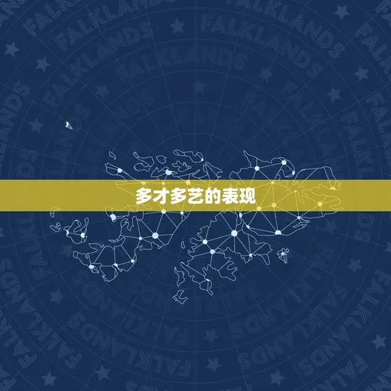 多才多艺的表现