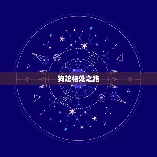 狗蛇相处之路