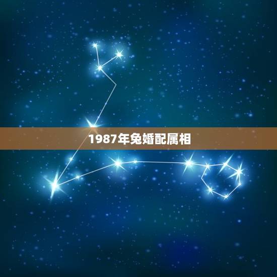 1987年兔婚配属相(兔婚配的十二生肖组合)