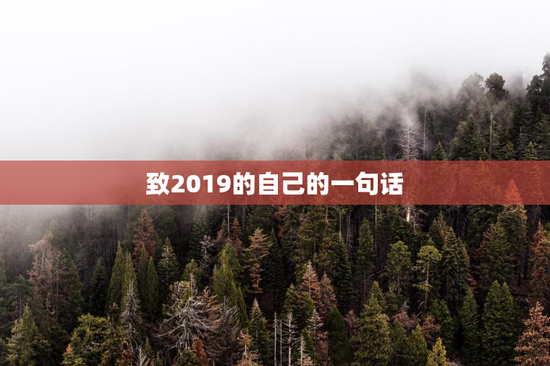 致2019的自己的一句话