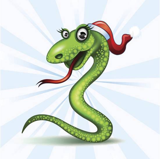 属蛇的最佳婚配对象男士(如何选择)