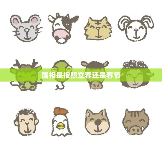 属相是按照立春还是春节(如何确定十二生肖)