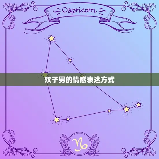 双子男的情感表达方式