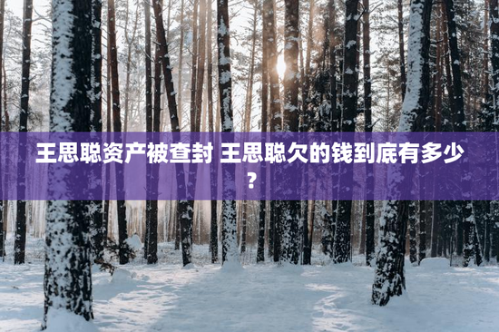 王思聪资产被查封 王思聪欠的钱到底有多少？