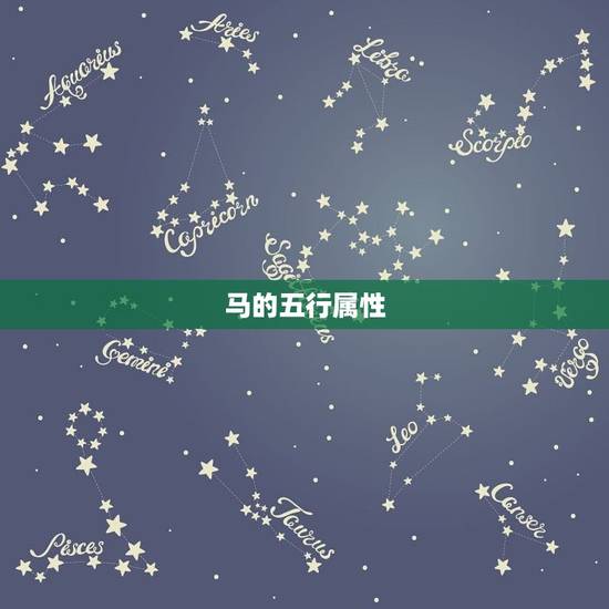 马的五行属性