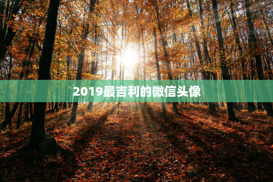 2019最吉利的微信头像