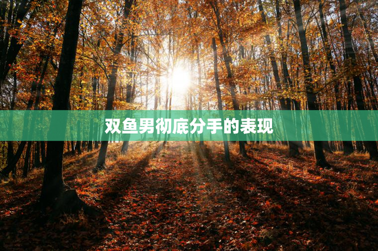 双鱼男彻底分手的表现