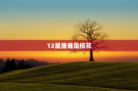 12星座谁是校花