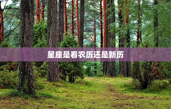 星座是看农历还是新历