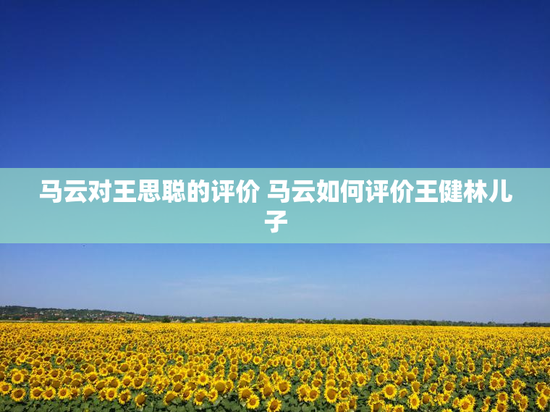 马云对王思聪的评价 马云如何评价王健林儿子