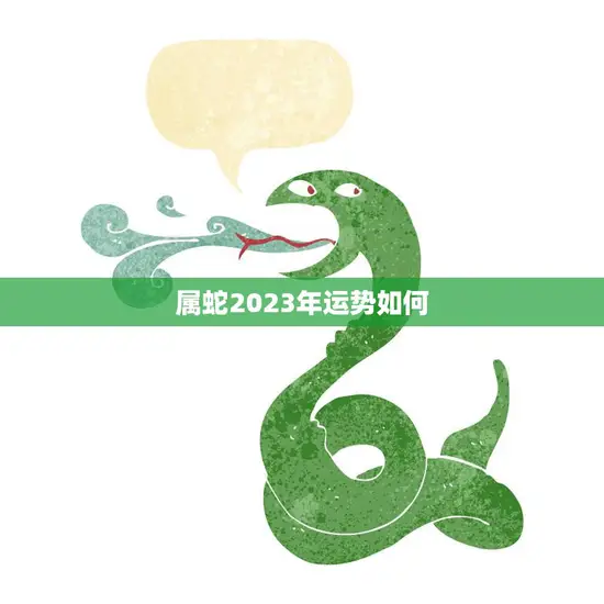 属蛇2023年运势如何(未来三年财运大好)