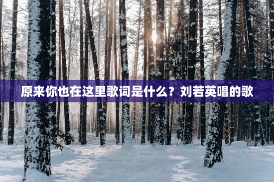 原来你也在这里歌词是什么？刘若英唱的歌