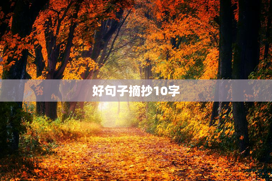好句子摘抄10字