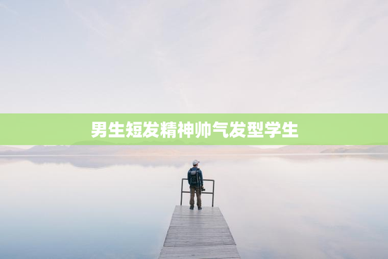 男生短发精神帅气发型学生
