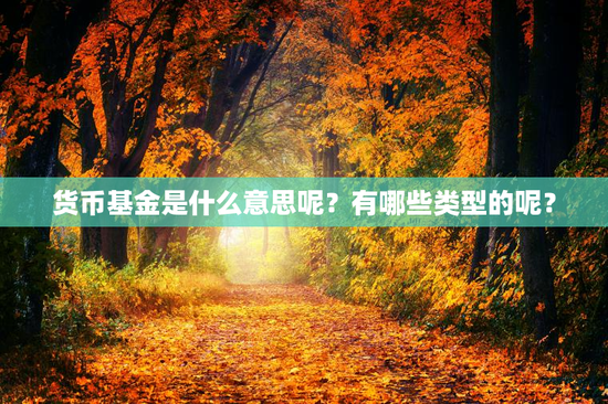 货币基金是什么意思呢？有哪些类型的呢？