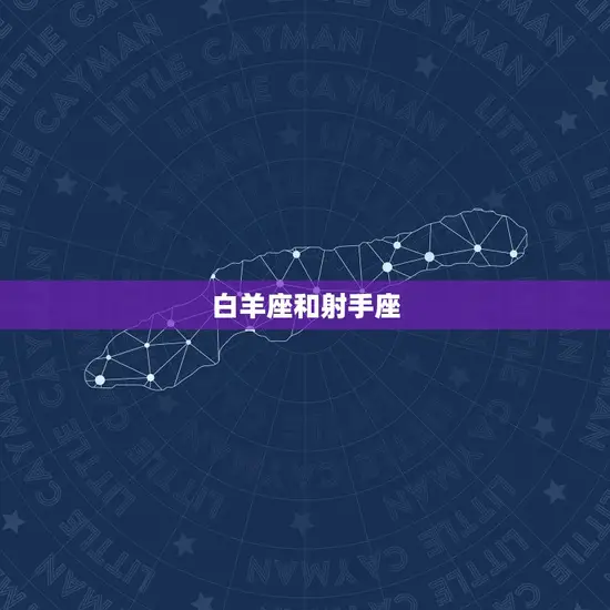 白羊座和射手座