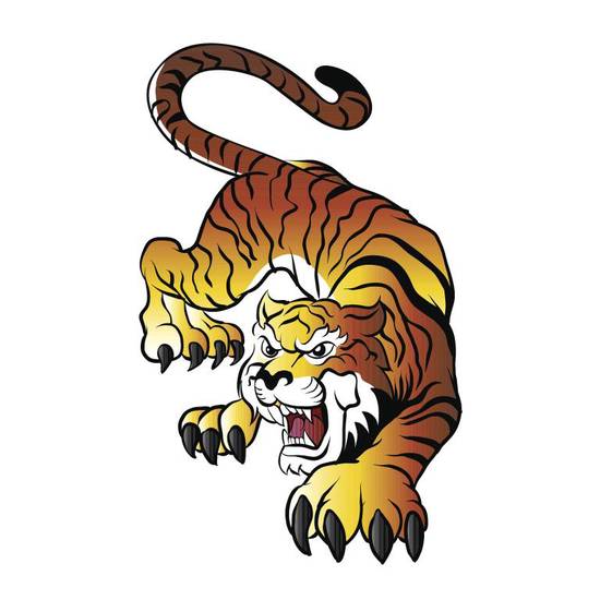 74年虎配什么生肖最好(如何选择最佳配偶)