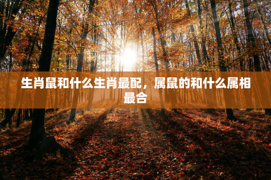 生肖鼠和什么生肖最配，属鼠的和什么属相最合